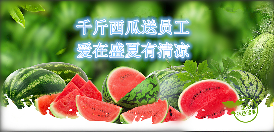 通達軟件公司： 千斤西瓜送員工，愛在盛夏有清涼