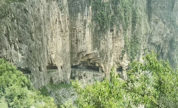 圖片5